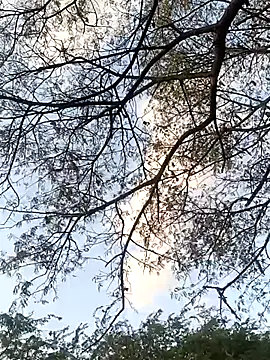 Snapshot of Teluguammai_123 chatting on July 12, 1:02 pm Teluguammai 123 online show from July 12, 1:02 pm