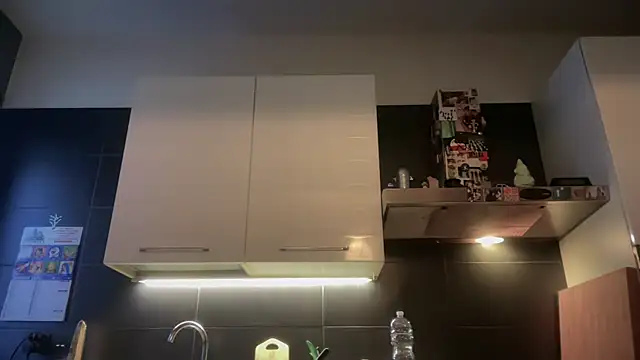 theitalianbear online show from January 7, 2:52 pm