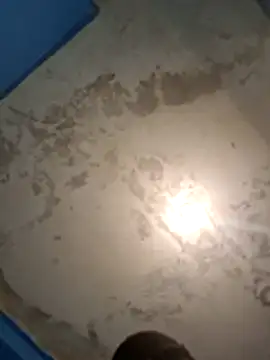 Elenarodriguez online show from August 3, 3:38 am