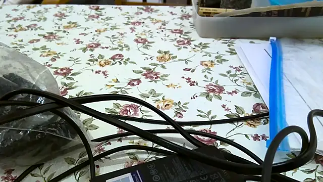 Bigjacky online show from September 9, 4:39 pm