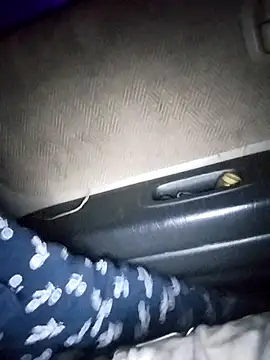 Snapshot of Biknight chatting on November 2, 3:53 am Biknight online show from November 2, 3:53 am