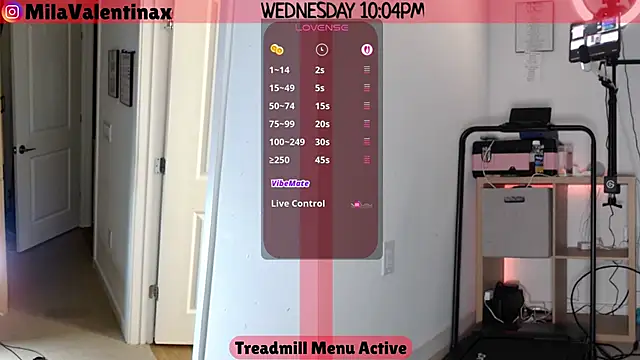 Snapshot of MilaValentina chatting on November 13, 3:05 am MilaValentina online show from November 13, 3:05 am