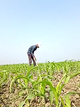 ThethunderPo online show from February 6, 4:39 am