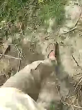 ThethunderPo online show from February 25, 7:51 am