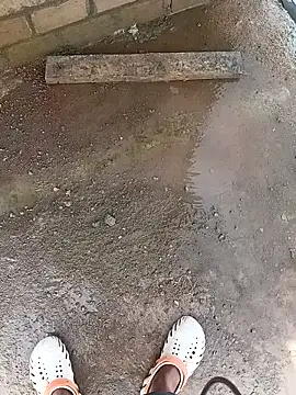 Bengali BULL1 online show from October 10, 4:33 am