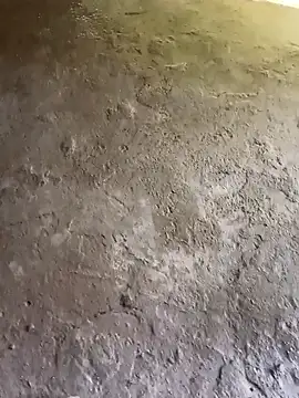 Bengali BULL1 online show from October 31, 9:32 am