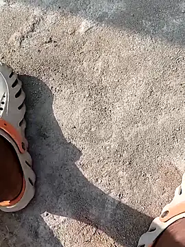 Bengali BULL1 online show from November 22, 4:00 am