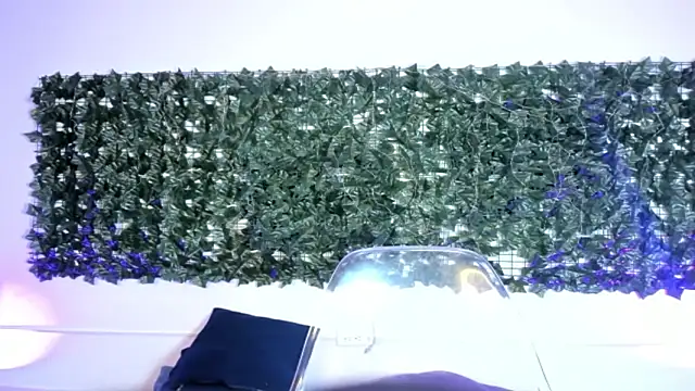 AbbyTaylorr online show from March 2, 3:20 am