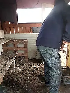 sarpe4 online show from February 28, 6:47 am