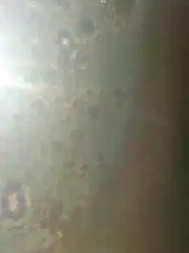 Snapshot of misscectito13 chatting on November 18, 10:31 am misscectito13 online show from November 18, 10:31 am