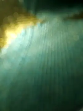 salonidesimaal online show from December 4, 10:02 am