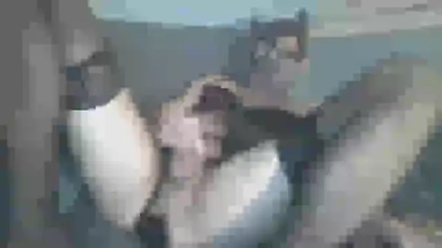 Snapshot of chceciedalsiebie chatting on February 3, 2:53 am chceciedalsiebie online show from February 3, 2:53 am