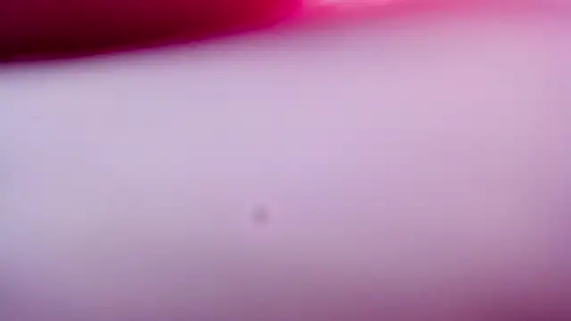 Shyfantasies online show from April 7, 3:12 pm