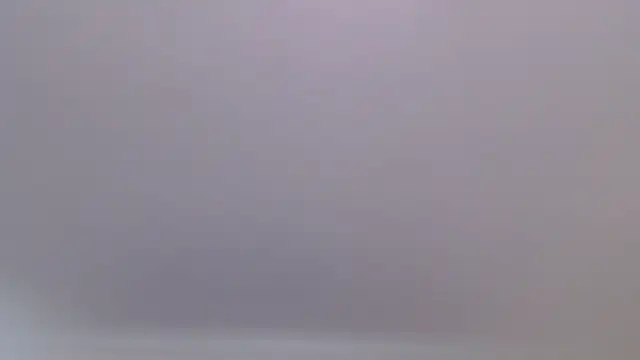 Snapshot of florida0217 chatting on July 27, 9:33 pm florida0217 online show from July 27, 9:33 pm