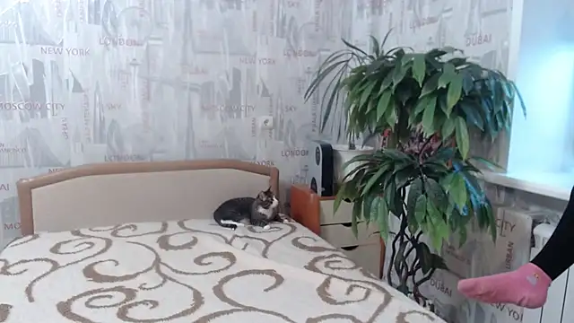 Snapshot of GinaQSoul chatting on February 20, 11:22 am GinaQSoul online show from February 20, 11:22 am