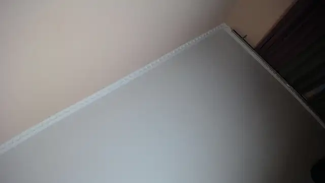 Milka Web online show from November 29, 6:27 am