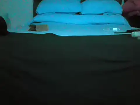 Snapshot of desa031 chatting on January 12, 3:23 am desa031 online show from January 12, 3:23 am