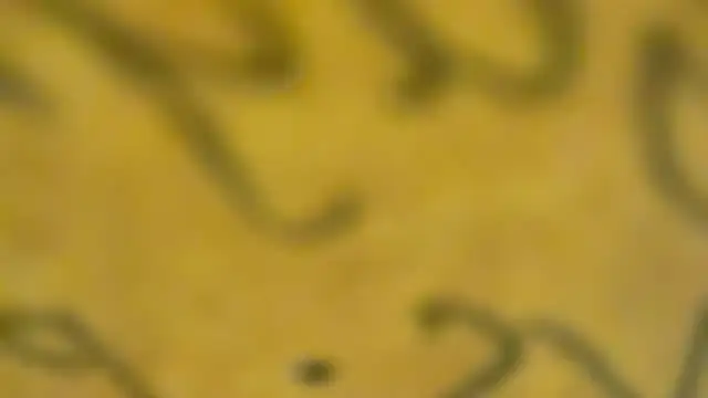 Snapshot of fmodel chatting on January 3, 3:44 pm fmodel online show from January 3, 3:44 pm