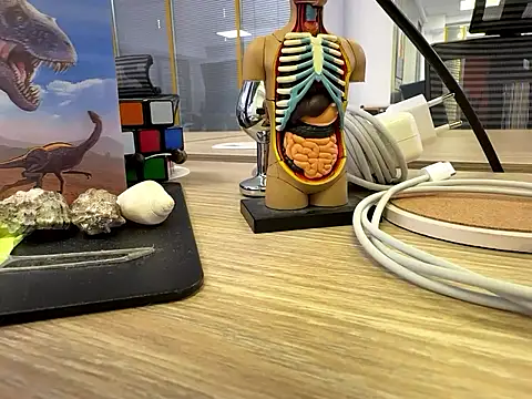 Snapshot of fmodel chatting on September 24, 11:24 am fmodel online show from September 24, 11:24 am