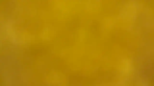 Snapshot of fmodel chatting on December 16, 2:33 pm fmodel online show from December 16, 2:33 pm