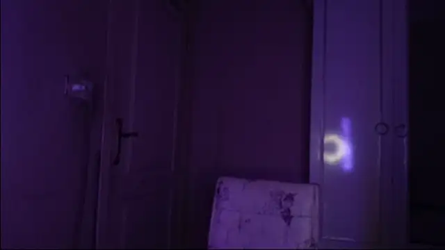 Bullish online show from January 22, 11:45 am