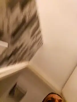 tropikboy online show from February 11, 1:54 am