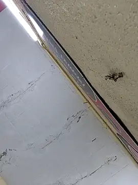 Vickyrajput009 online show from April 16, 7:31 am