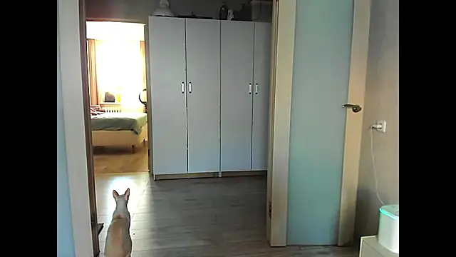 sweeetgirls2021 online show from December 12, 2:04 am