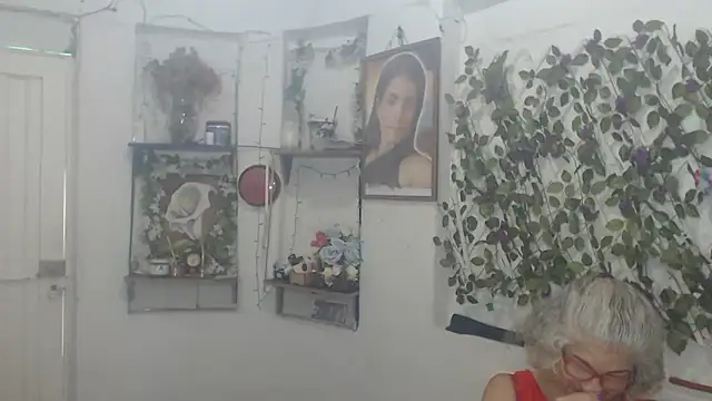 Snapshot of FunnyGrandma chatting on February 15, 6:04 pm FunnyGrandma online show from February 15, 6:04 pm