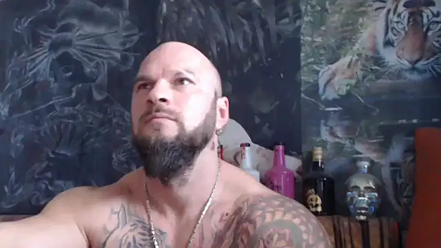 viking 30 online show from November 7, 10:26 am