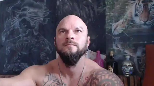 viking 30 online show from November 9, 8:01 am