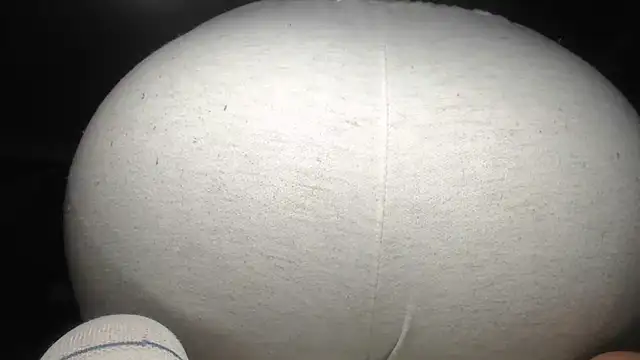 Snapshot of prettyangelsquirt chatting on October 4, 3:15 am prettyangelsquirt online show from October 4, 3:15 am