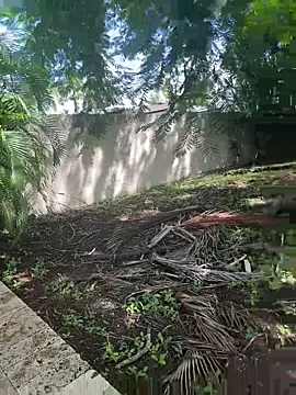 Snapshot of JohnnyBigShot chatting on September 28, 3:50 pm JohnnyBigShot online show from September 28, 3:50 pm