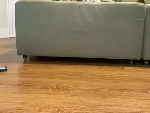 Relknhoxh online show from October 28, 9:57 am