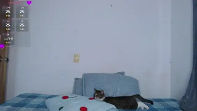 Snapshot of valen_thompson chatting on March 1, 11:07 pm valen thompson online show from March 1, 11:07 pm