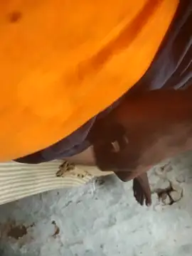 Badboy xyz online show from October 22, 4:02 am