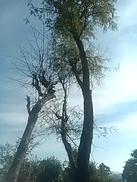 SunnyleoneBG online show from December 15, 7:46 am