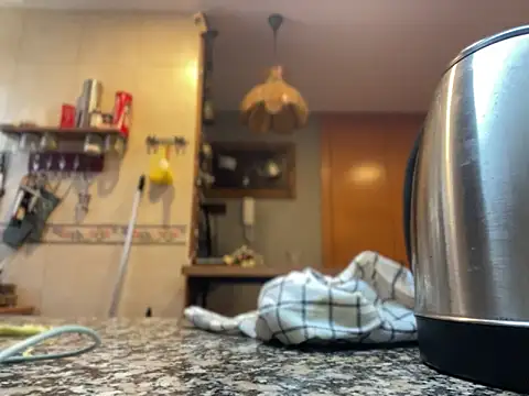 camelia3 online show from November 22, 12:48 pm