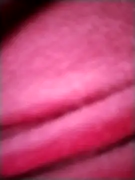 EvaCristal online show from November 28, 9:12 am