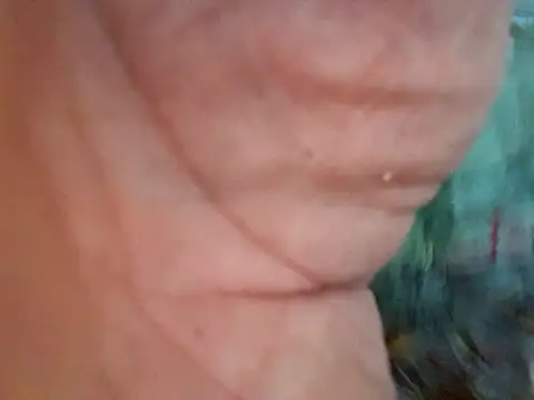 Payaso53 online show from April 11, 2:38 am