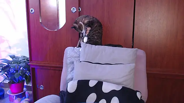 Raventh  online show from February 13, 1:07 pm