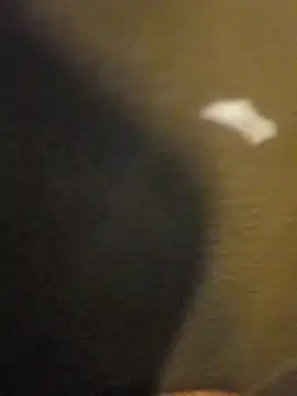 Sripandara1 online show from March 22, 12:04 pm