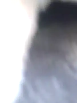 Snapshot of Dirtyfeelin chatting on January 27, 8:40 am Dirtyfeelin online show from January 27, 8:40 am