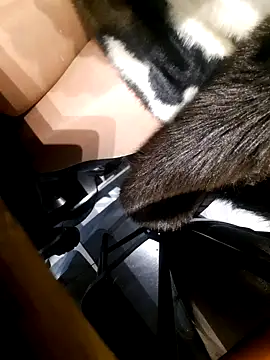 Dirtyfeelin online show from November 18, 2:43 pm