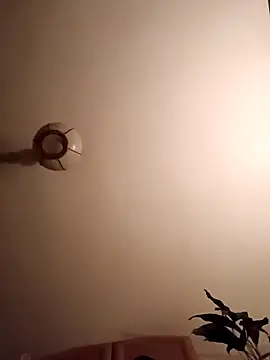 FireFox Feel online show from March 14, 2:31 am