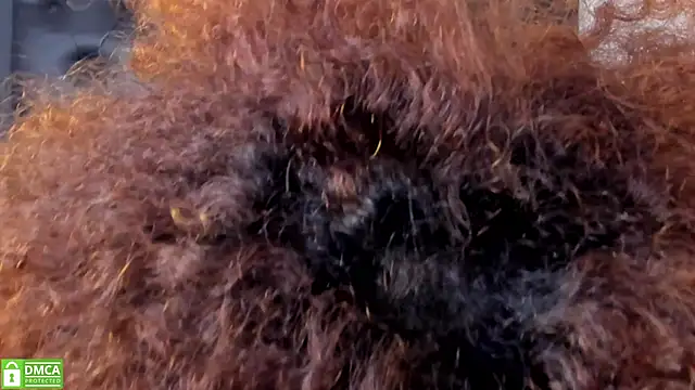 Alika Shanty online show from March 20, 5:51 pm