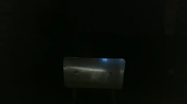 venenus online show from January 29, 1:05 am