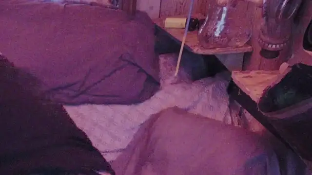 sex4fun 21 online show from February 1, 7:15 am