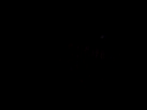 catdool online show from February 14, 11:31 pm