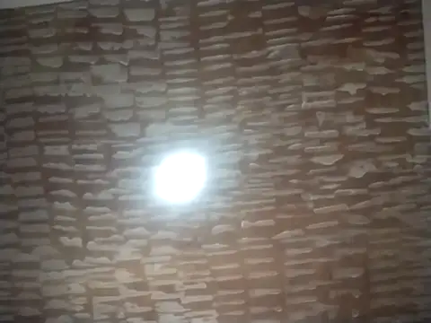 catdool online show from September 22, 5:04 pm